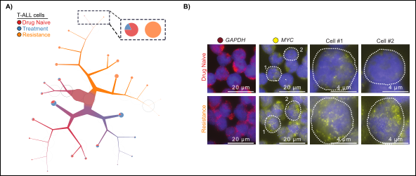 Singel Cell Epigenetics in Cancer